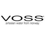 логотип VOSS